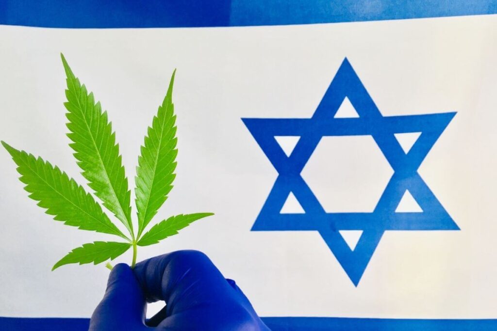 גמילה מאלכוהול בעזרת קנאביס רפואי