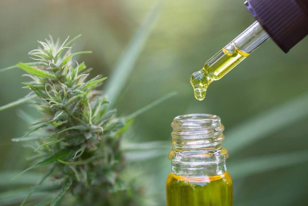 כיצד להשתמש בשמן CBD כדי למנוע מיגרנות?