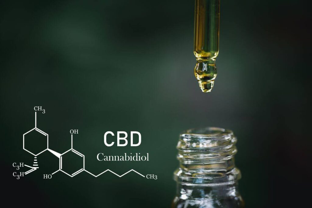 שמן CBD לעומת שמן המפ - למדו את ההבדלים כאן!