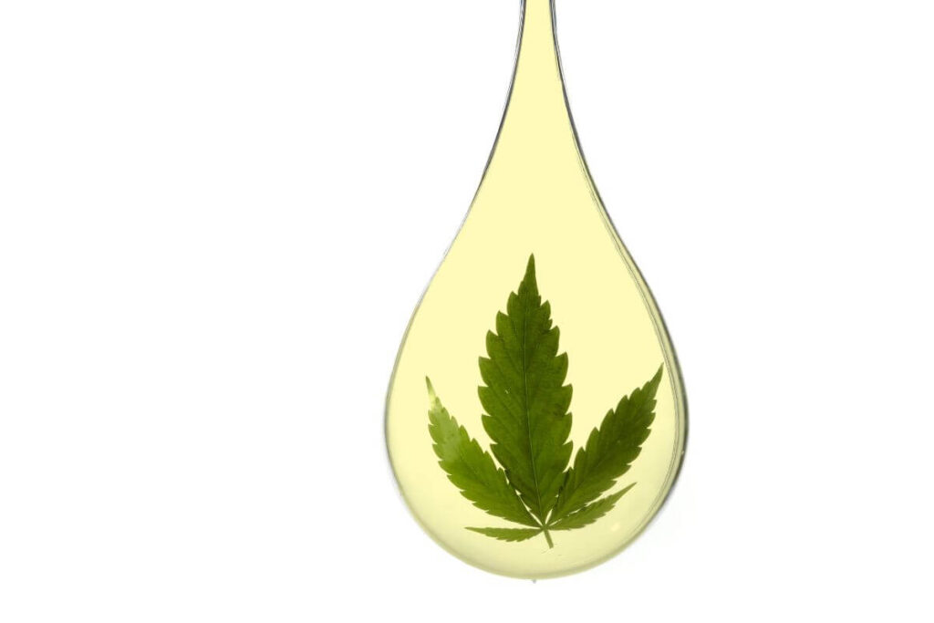 מדוע CBD עובד טוב יותר בשילוב עם קצת THC?