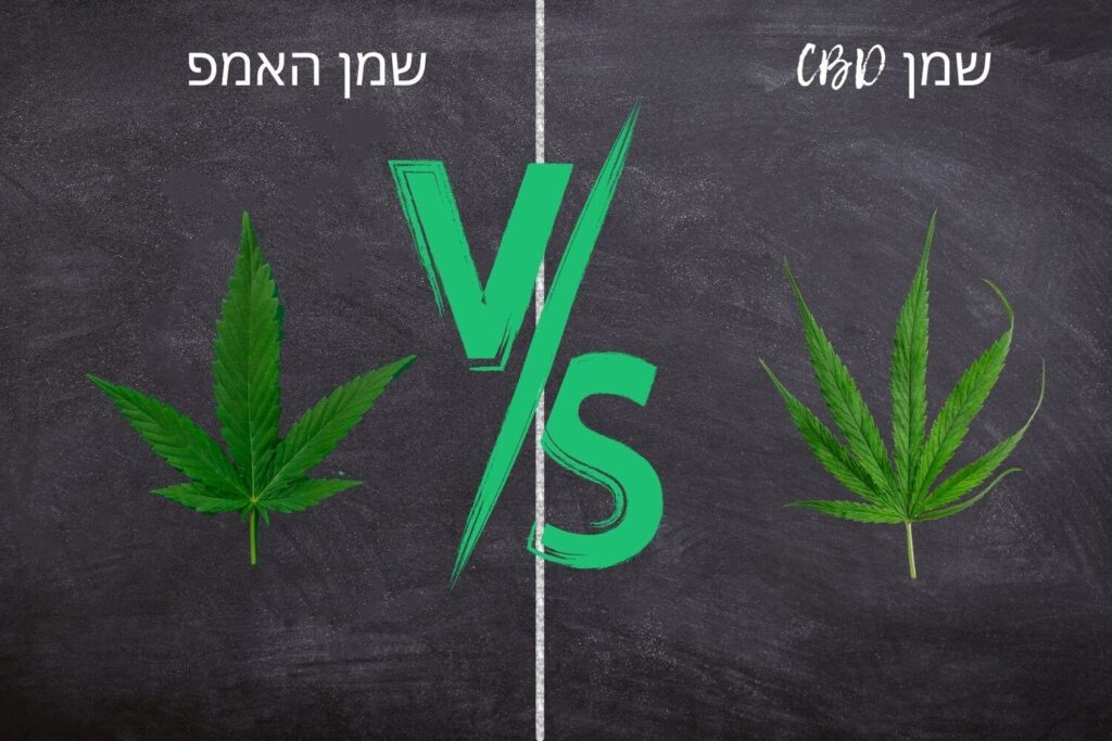 שמן CBD לעומת שמן המפ - למדו את ההבדלים כאן!
