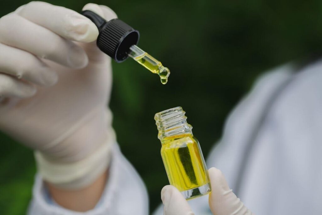 אידוי פרחי CBD מול אידוי שמן CBD