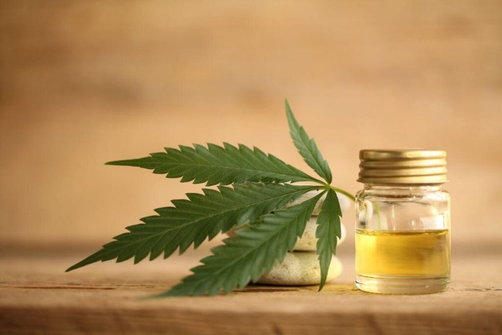 מיצוי THC או תפרחת, מה עדיף לשימוש רפואי?