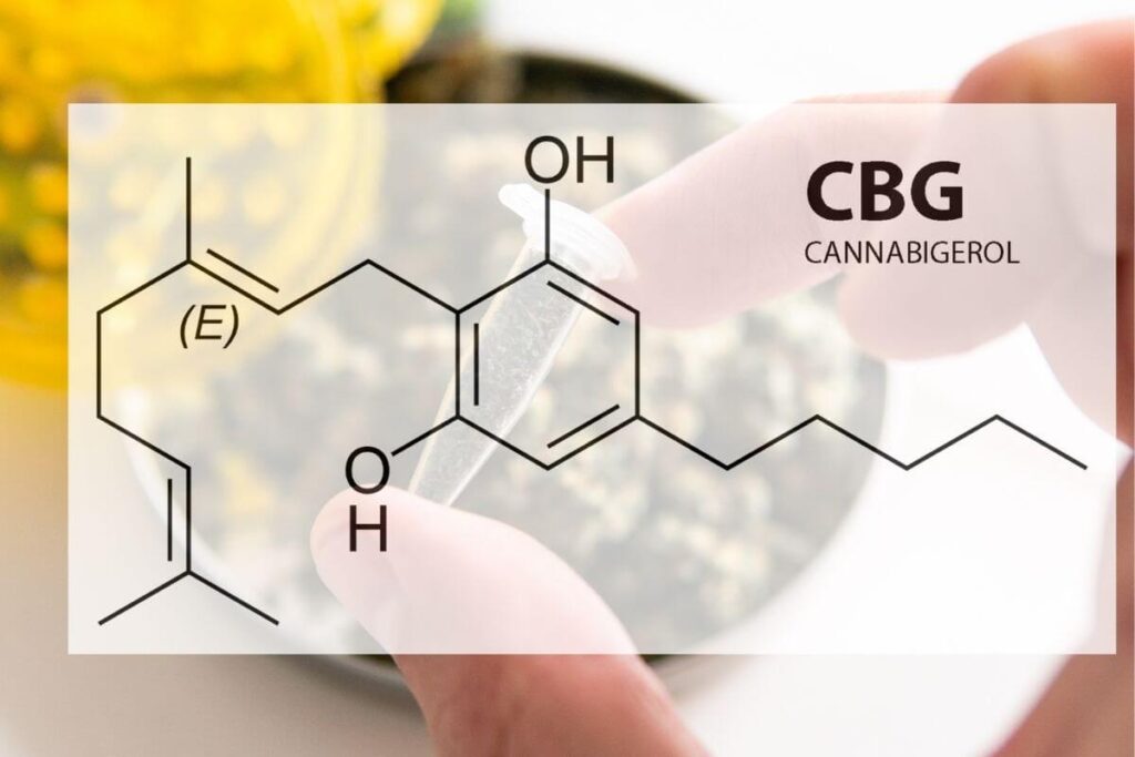 האם CBG הוא ה CBD החדש