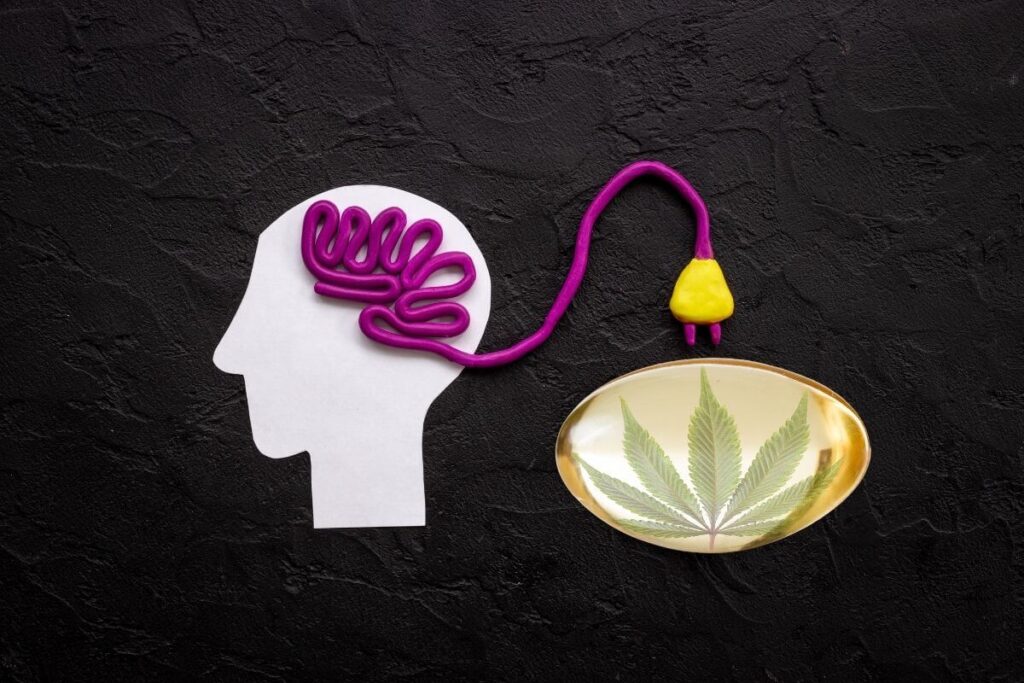 CBD עשוי לעזור בטיפול בפסיכוזה