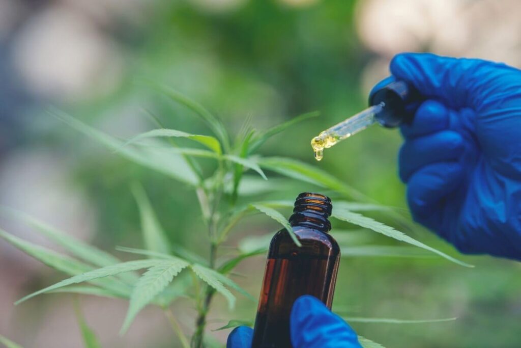 שמן CBD מבודד או שמן סיבידי ספקטרום מלא